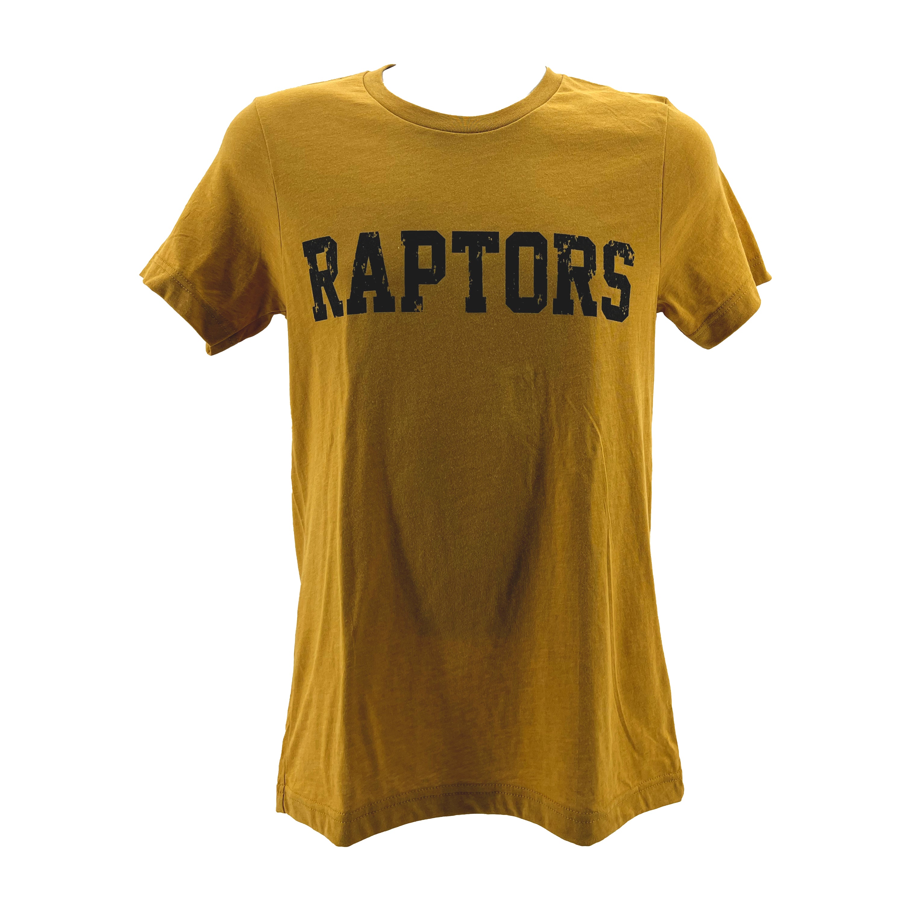 Distressed Raptors Bella Canvas Tee-TShirts-Advanced Sportswear