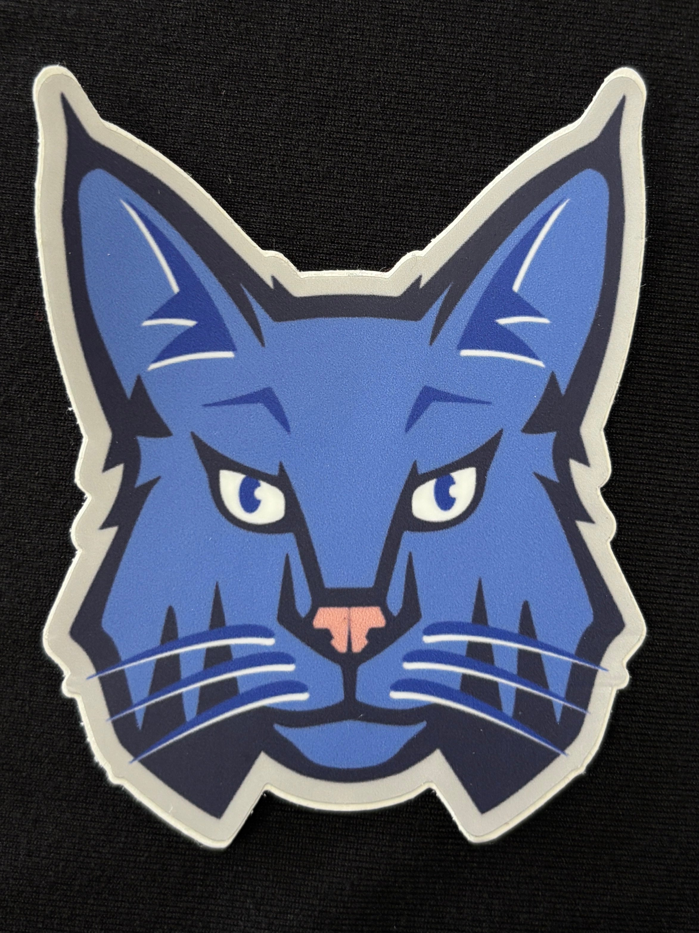 Bailey Elementary Sticker-Stickers-Advanced Sportswear