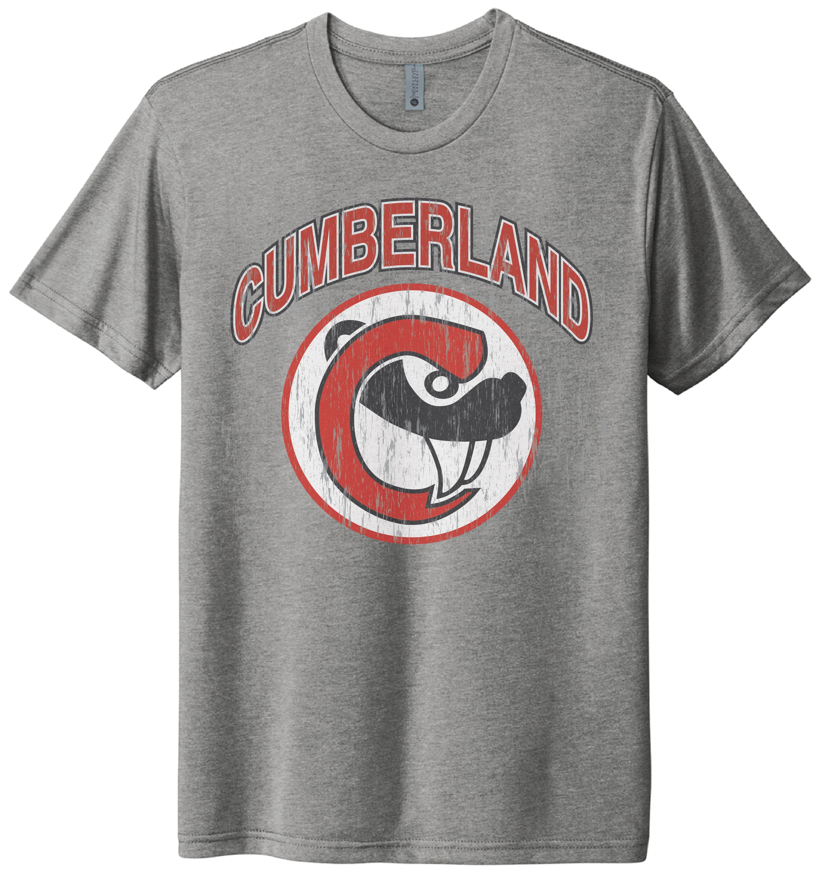 Tower House Retro Light Wash Next Level T-Shirt-TShirts-Advanced Sportswear