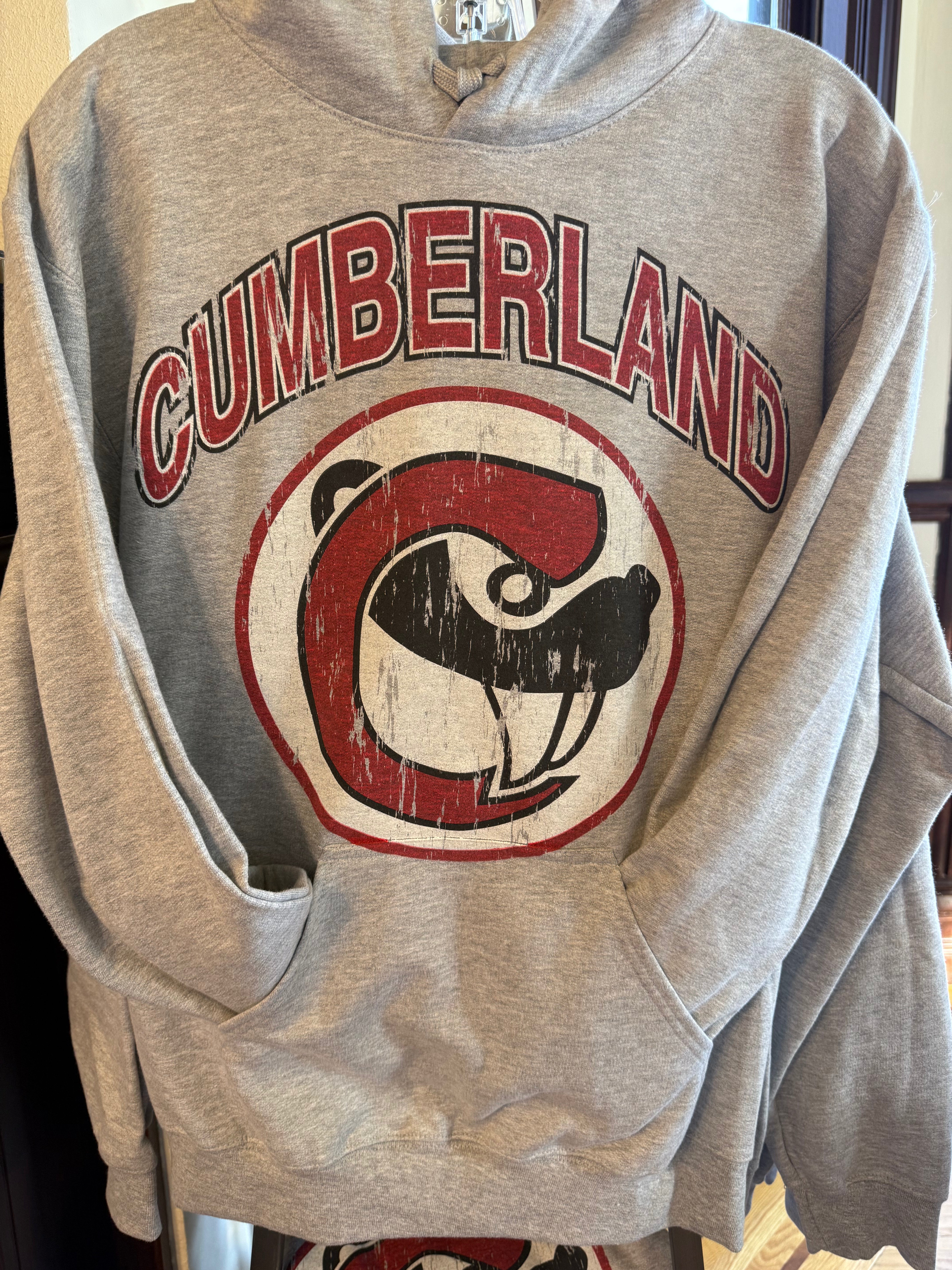 Tower House Retro Light Wash Gildan Softstyle Midweight Pullover-Hoodies-Advanced Sportswear