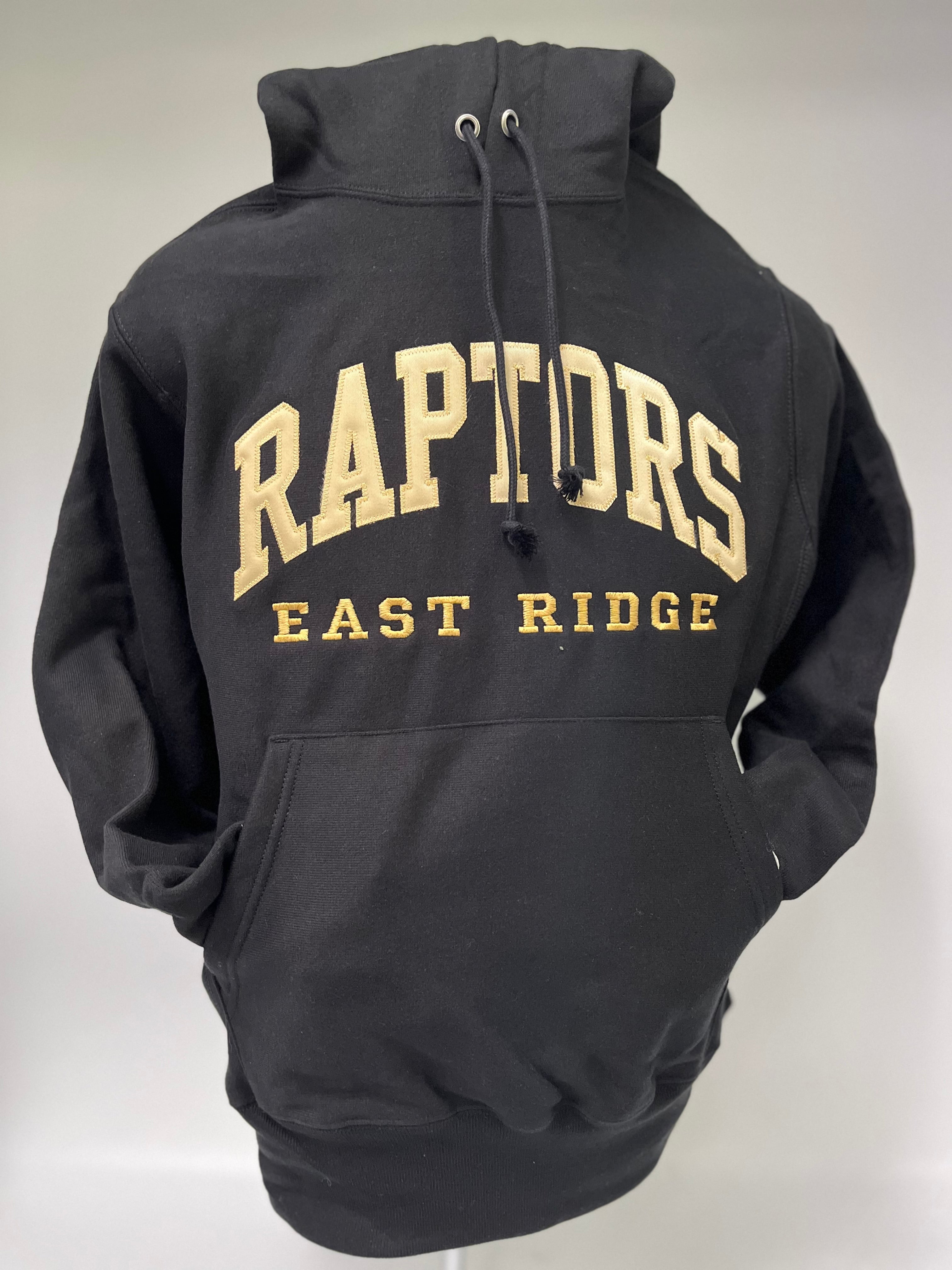 Champion raptors hoodie best sale